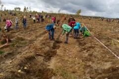 Sadzimy las dla Niepodległej-20.10.2018r.