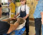 IMG-20240424-WA0033